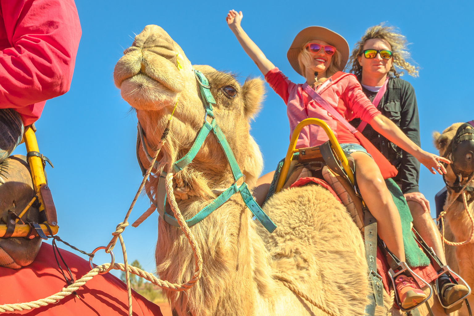 Camel Rides