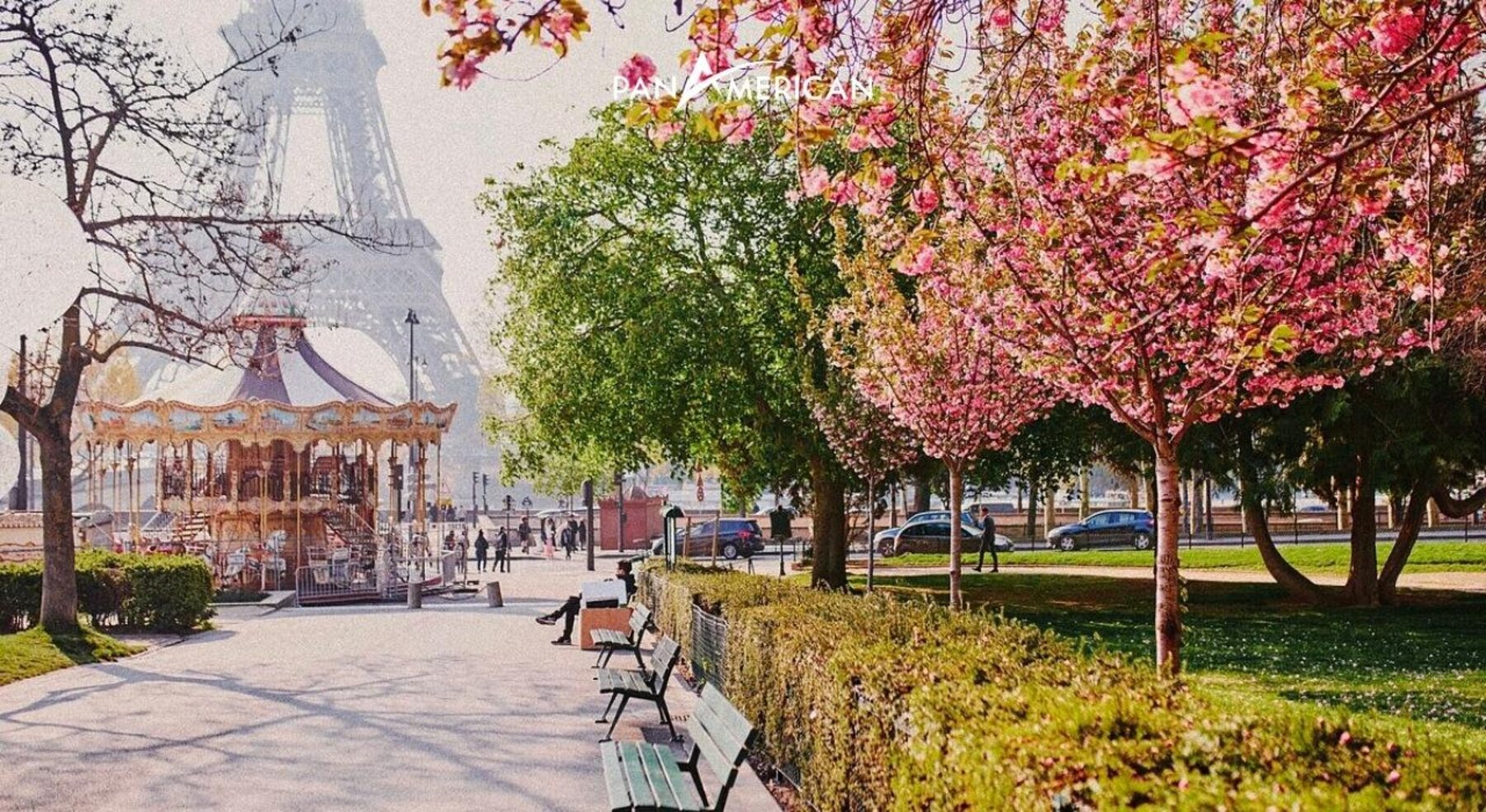 Mùa xuân ở Paris hoa đào và mộc lan nở