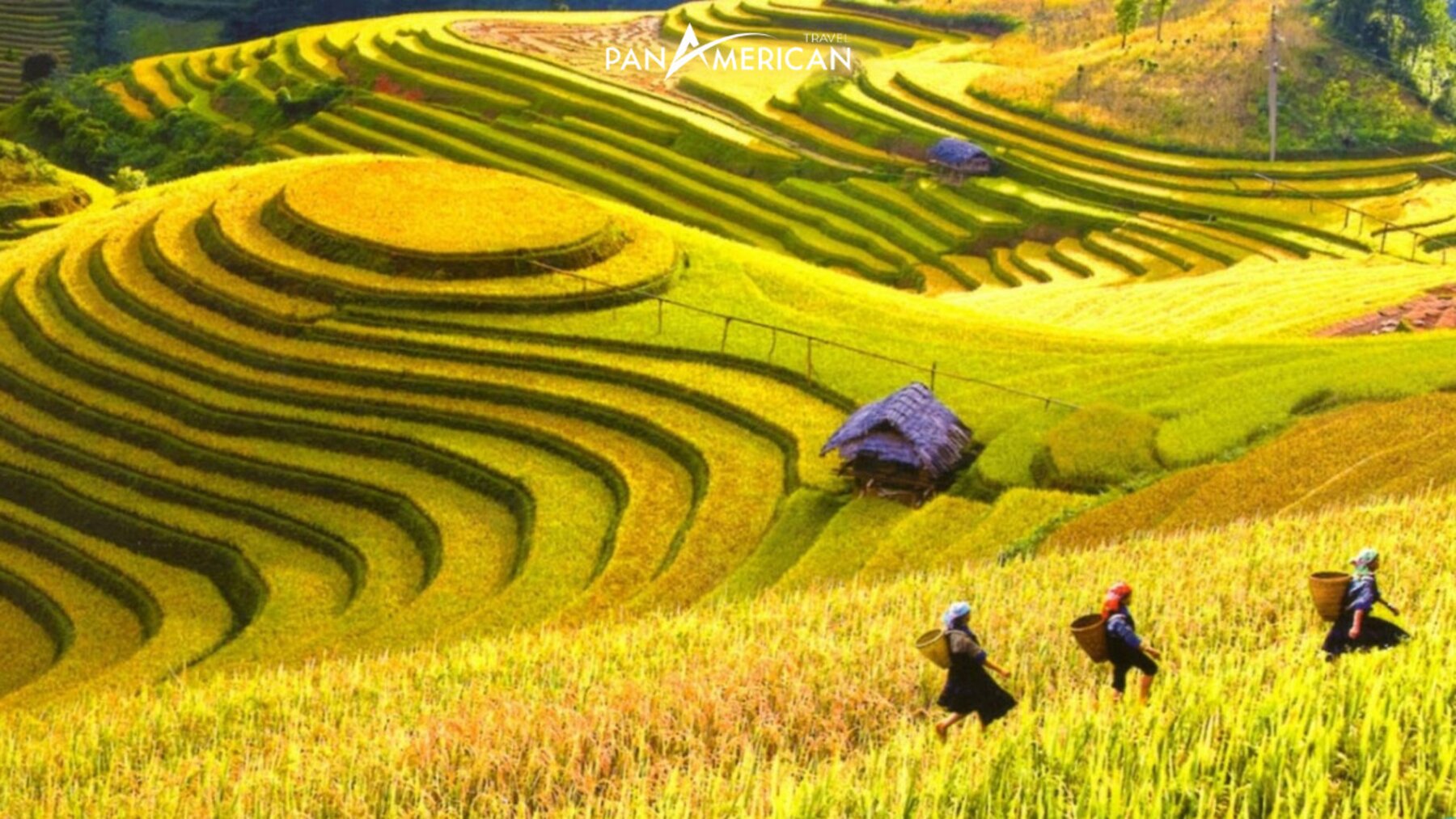 Ruộng bậc thang Mù Cang Chải