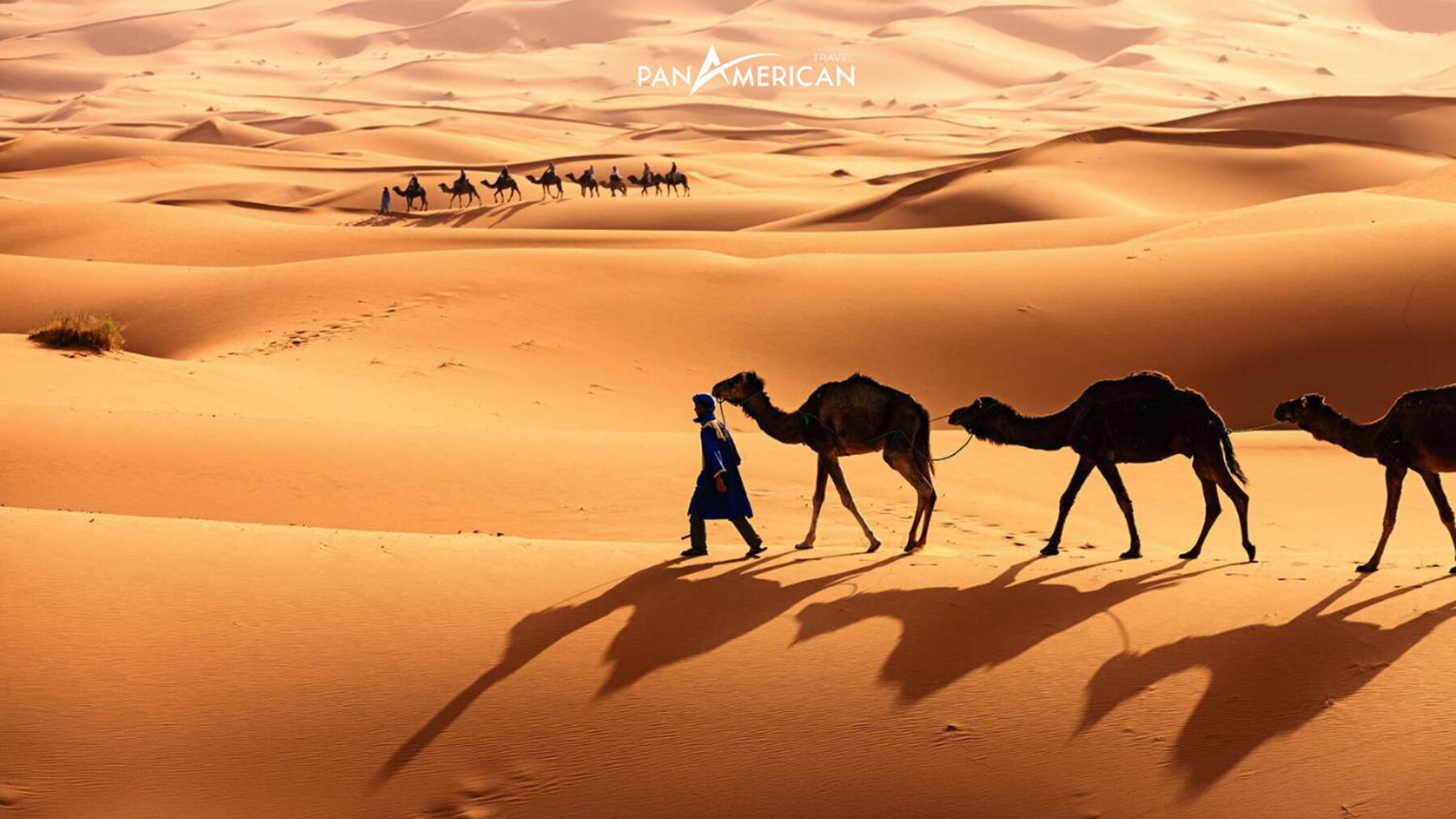 Sa mạc Sahara hùng vĩ