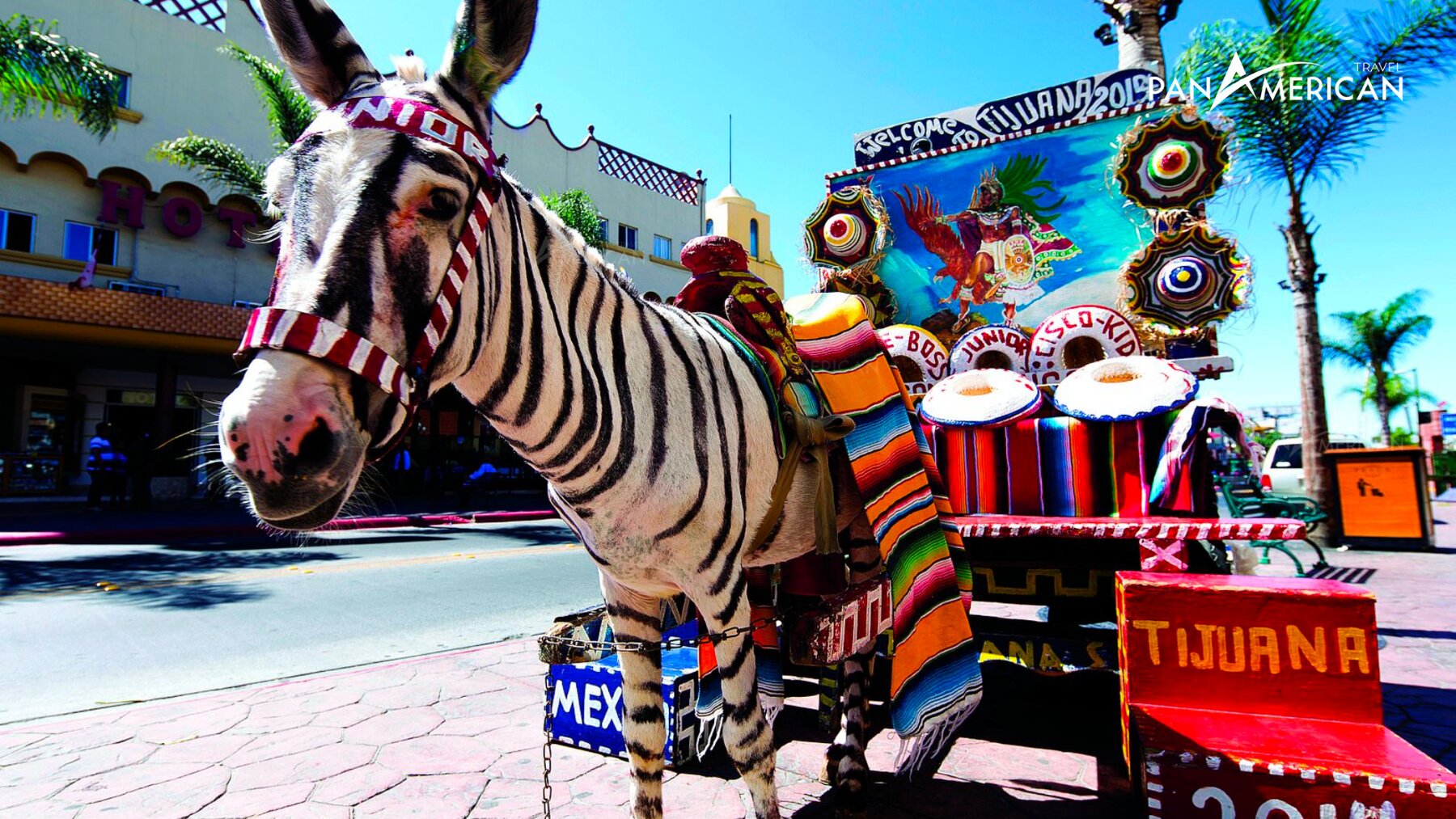 Avenida Revolucion - Địa điểm nên ghé thăm khi đến Tijuana Mexico 