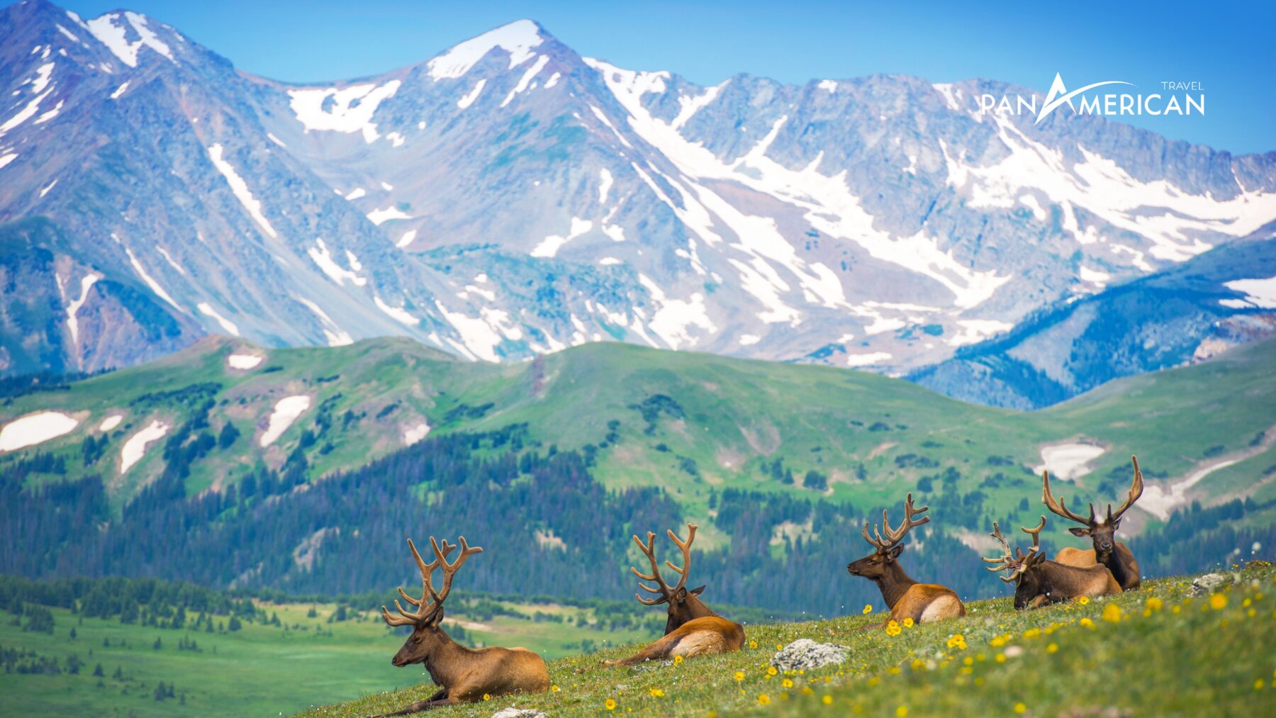 Du lịch Rocky Mountain: Hoà mình với thiên nhiên bất tận  - Gallery Image