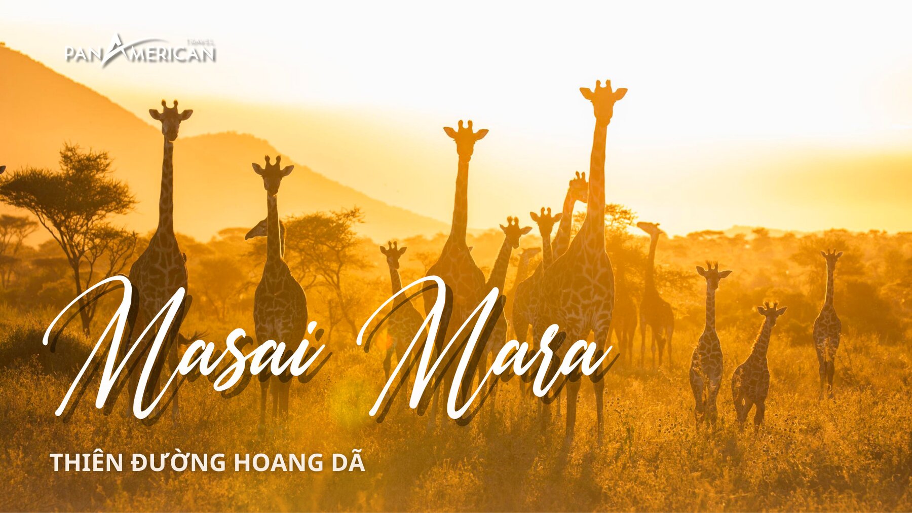 Khám phá Masai Mara - Thiên đường hoang dã 