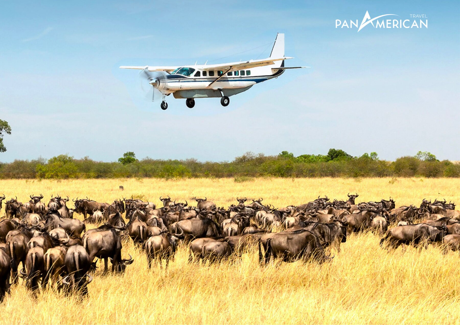 Máy bay là phương tiện di chuyển nhanh nhất đến Masai Mara