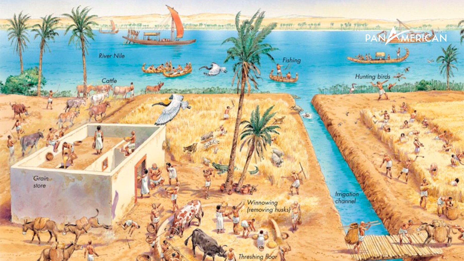Các hoạt động canh tác đều bắt nguồn từ sông Nile 