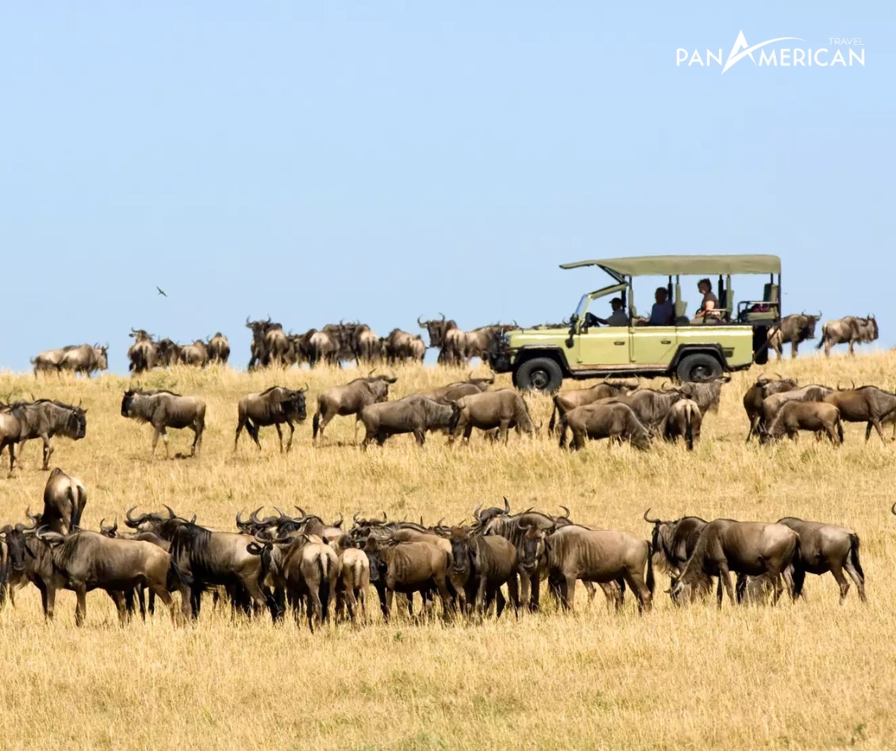 Du lịch Serengeti: 4 trải nghiệm hấp dẫn không thể bỏ lỡ tại công viên quốc gia lớn nhất Tanzania - Gallery Image