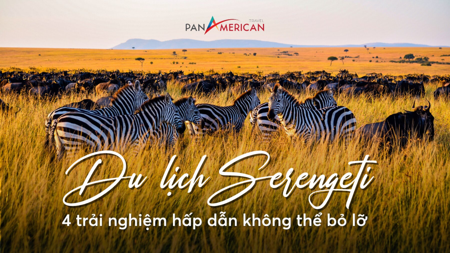 Du lịch Serengeti: 4 trải nghiệm hấp dẫn không thể bỏ lỡ tại công viên quốc gia lớn nhất Tanzania