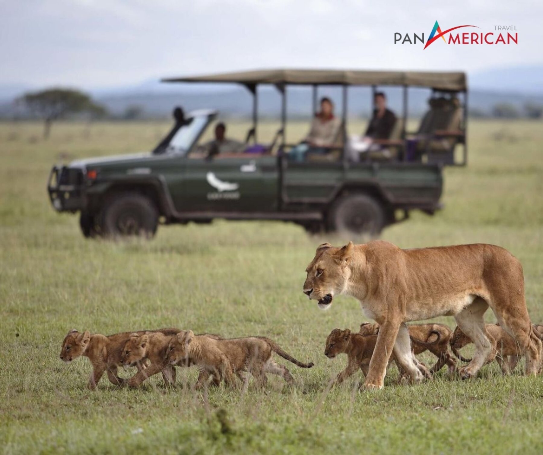 Du lịch Serengeti: 4 trải nghiệm hấp dẫn không thể bỏ lỡ tại công viên quốc gia lớn nhất Tanzania - Gallery Image