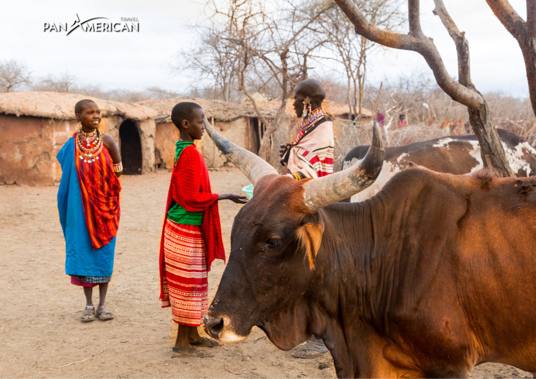 Khám phá Ngorongoro – Thiên đường hoang dã tại châu Phi  - Gallery Image