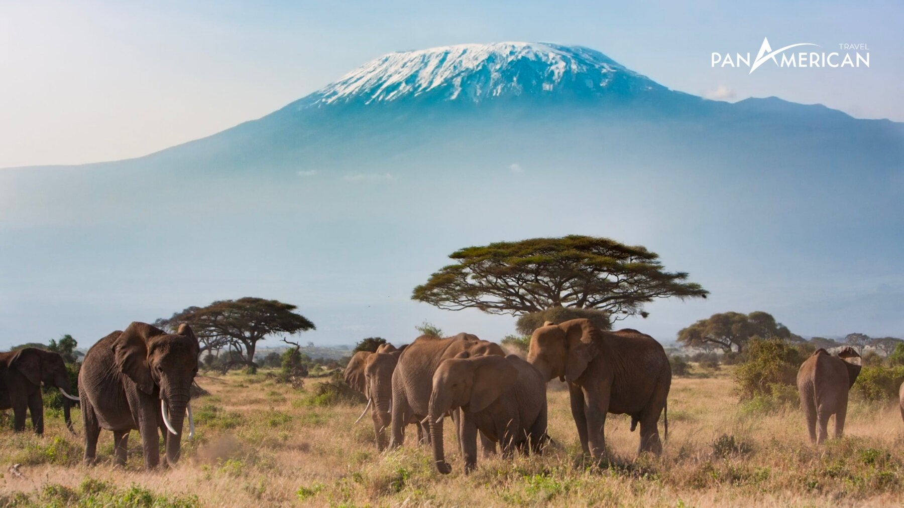 Thiên nhiên hoang dã Amboseli