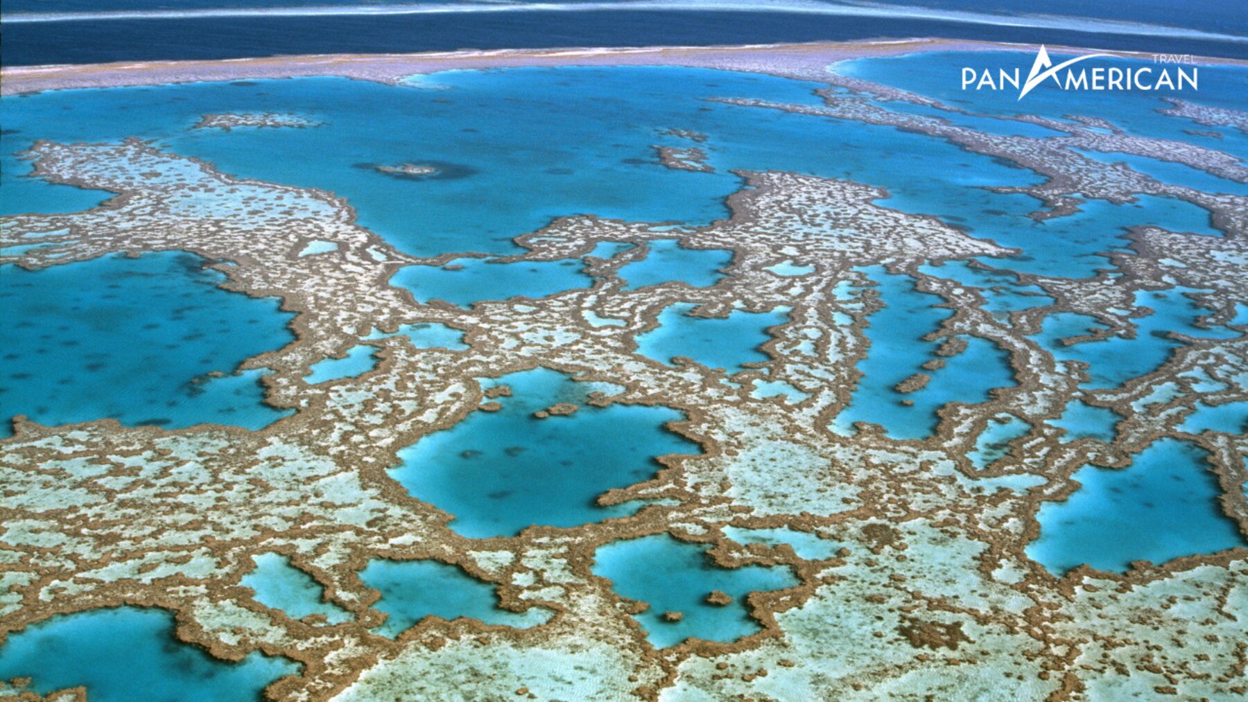 Rặng san hô Great Barrier Reef ở Úc 