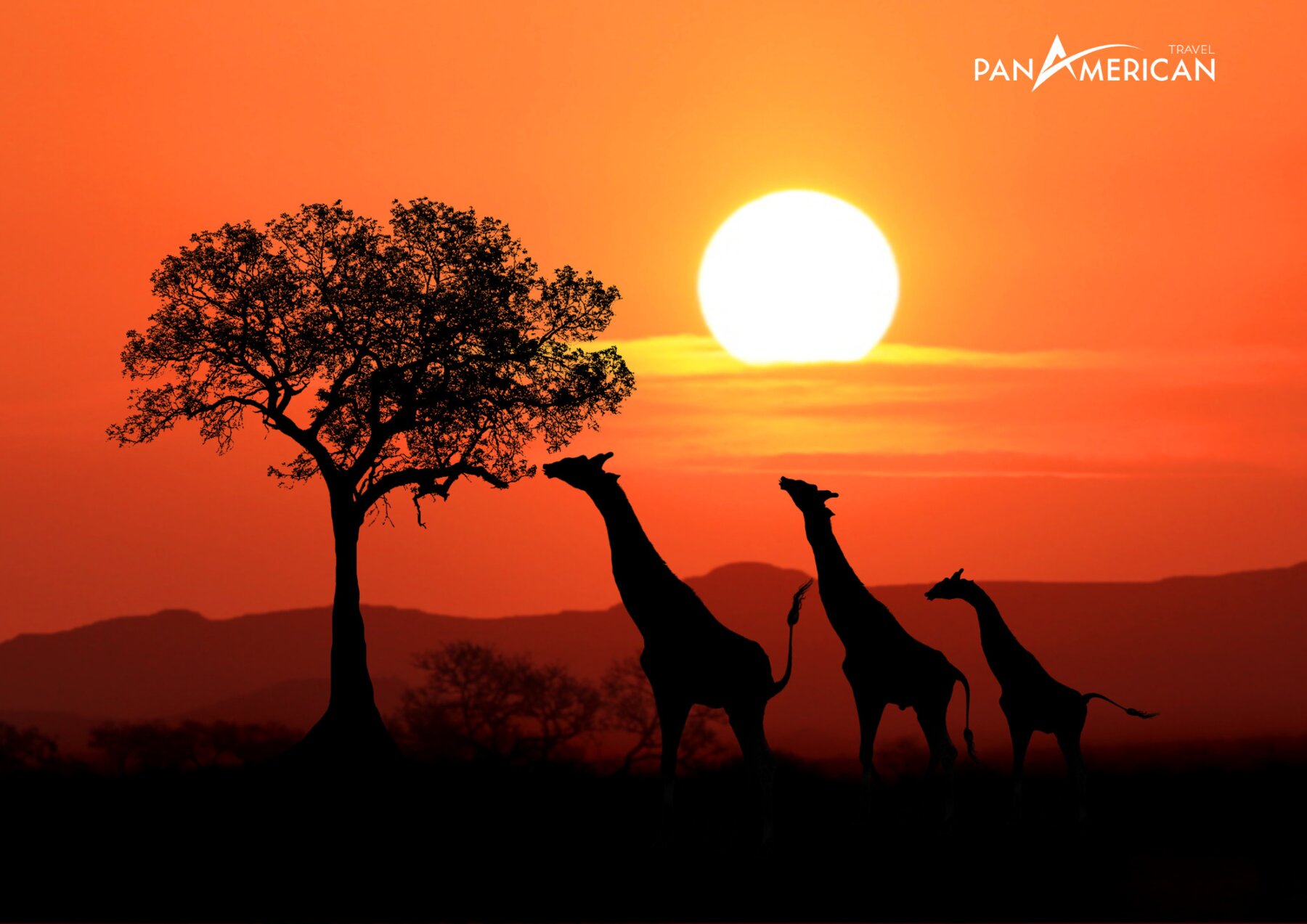 Du lịch châu Phi mùa nào đẹp nhất?