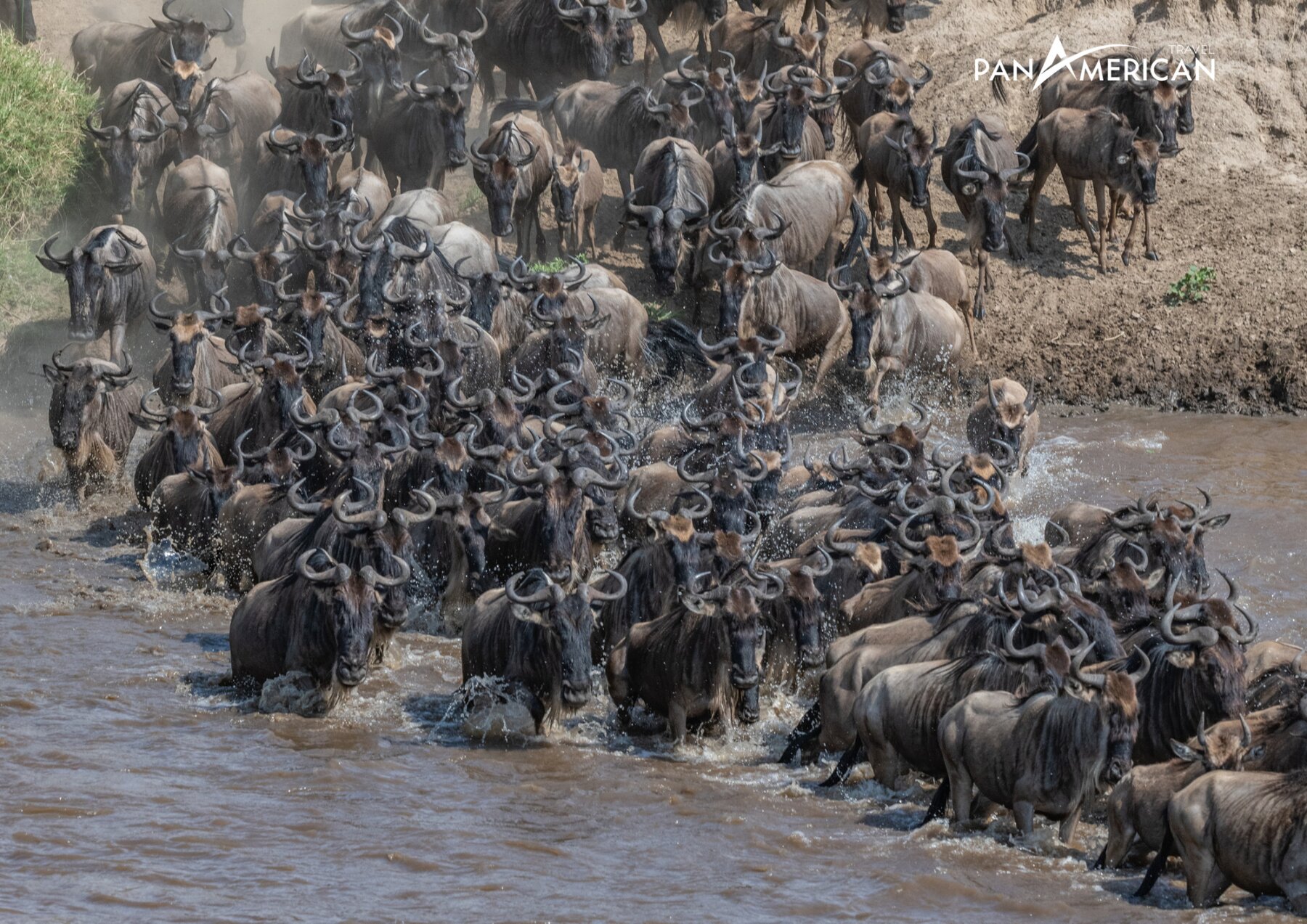 Masai Mara điểm đến hấp dẫn trong tour du lịch châu Phi, quý vị có thể chiêm ngưỡng cuộc di cư lớn nhất hành tinh