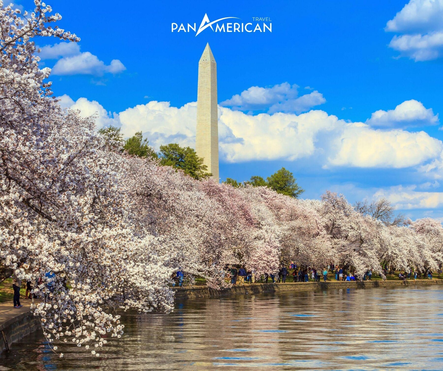 Mùa xuân rực rỡ với hoa anh đào ở Washington D.C