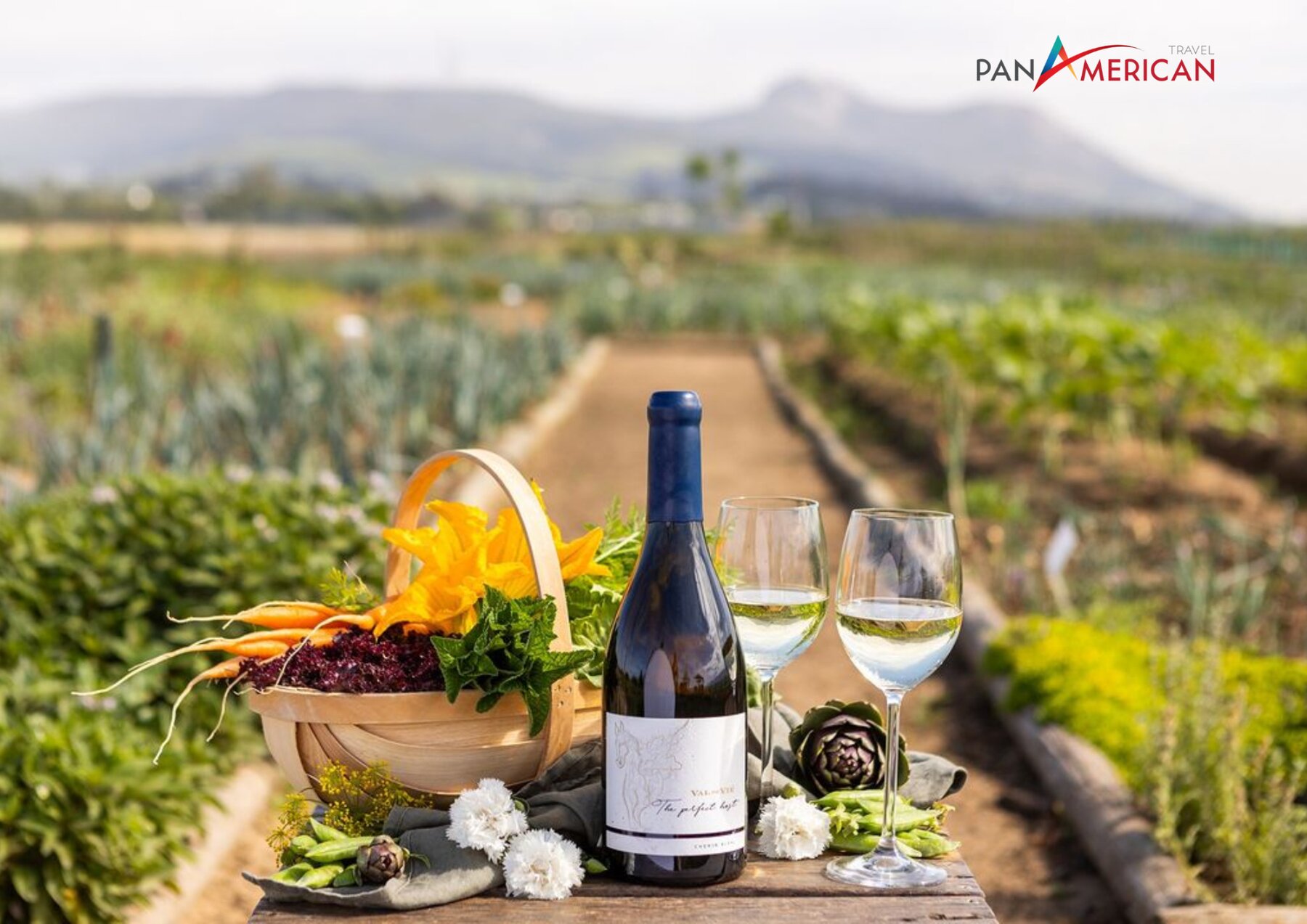 Rượu vang Nam Phi món quà ý nghĩa dành cho người thân, bạn bè