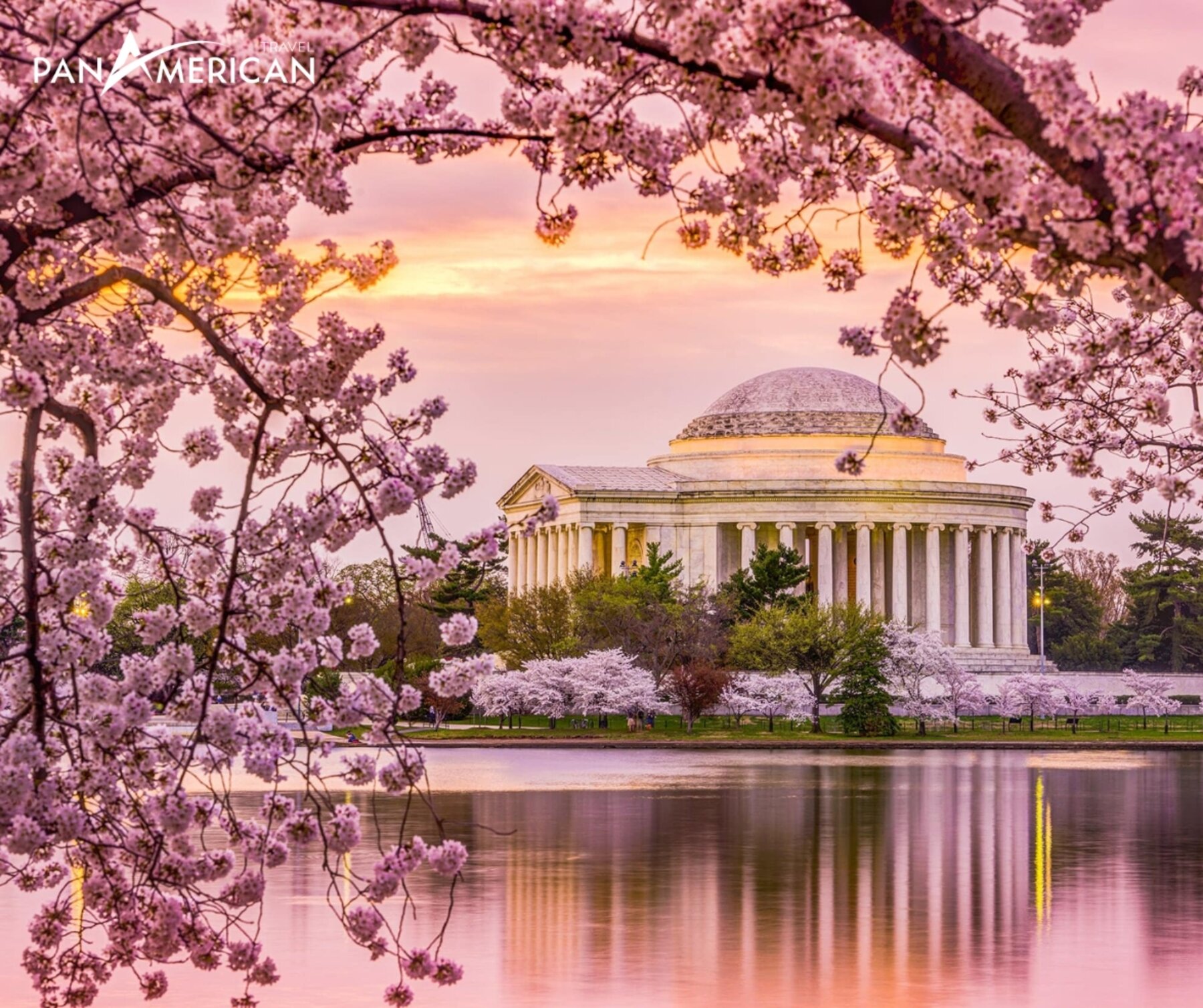 Thủ đô Washington tràn ngập sắc xuân hoa anh đào