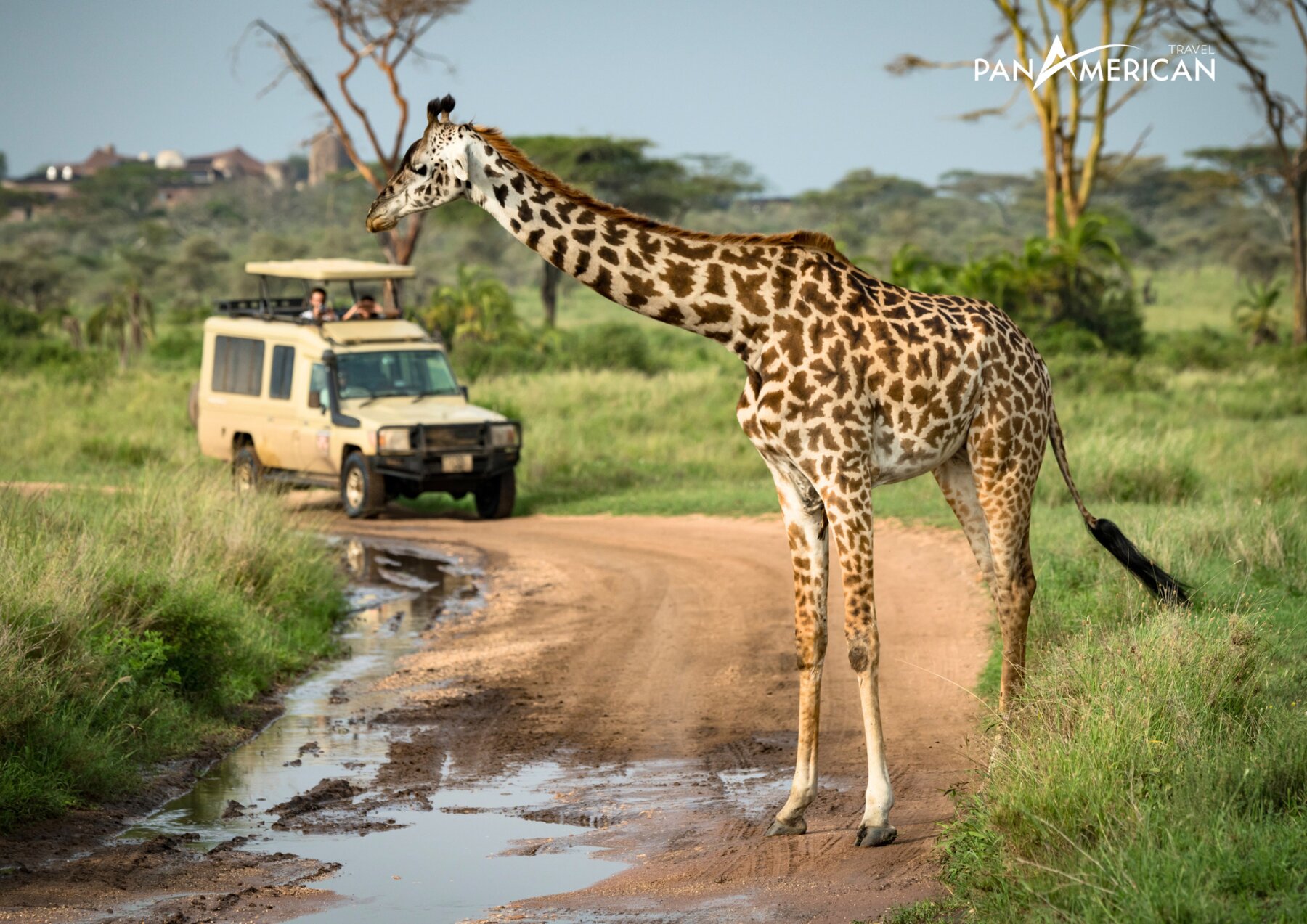 Tour du lịch châu Phi - Khám phá châu Phi hoang dã (10N9Đ)