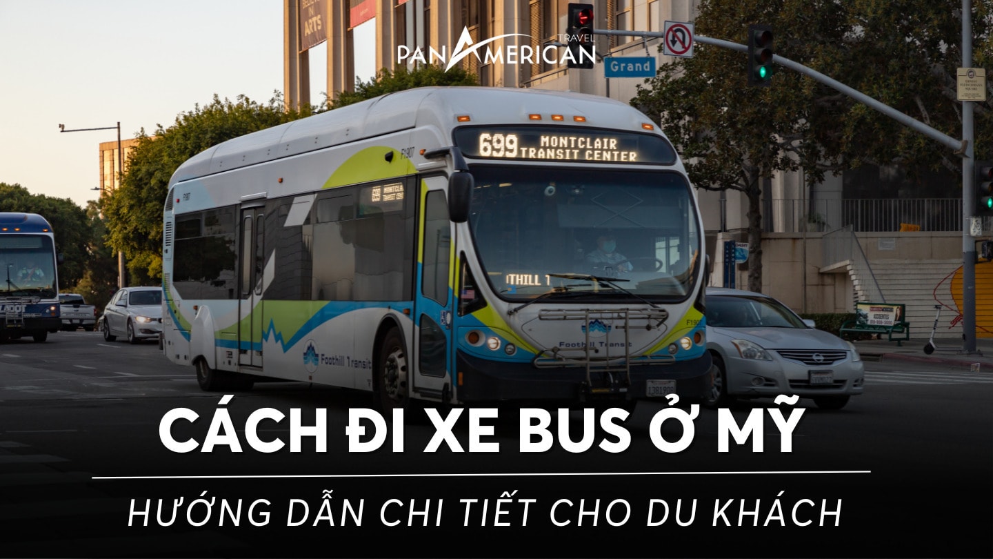 Cách đi xe bus ở Mỹ: Hướng dẫn chi tiết cho du khách tới Mỹ