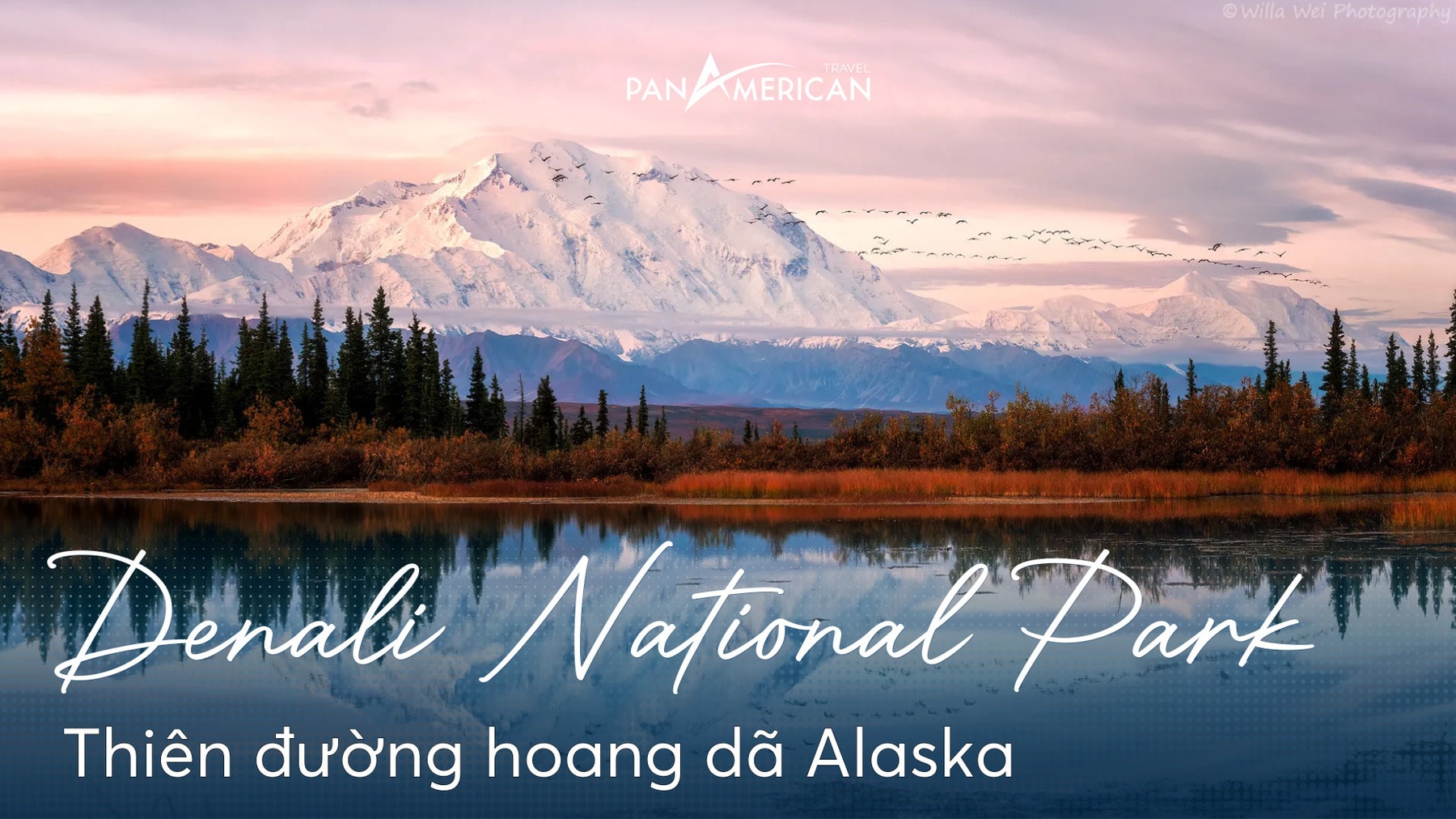 Khám phá 8 điểm đến hấp dẫn tại Denali National Park – Thiên đường hoang dã Alaska