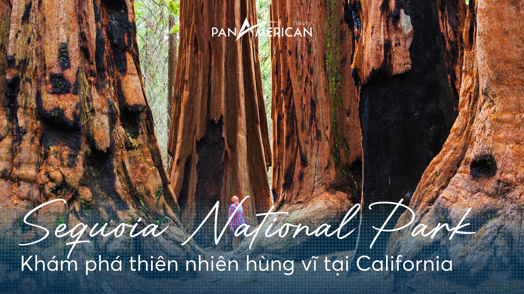 Sequoia National Park - Khám phá thiên nhiên hùng vĩ tại California, Hoa Kỳ