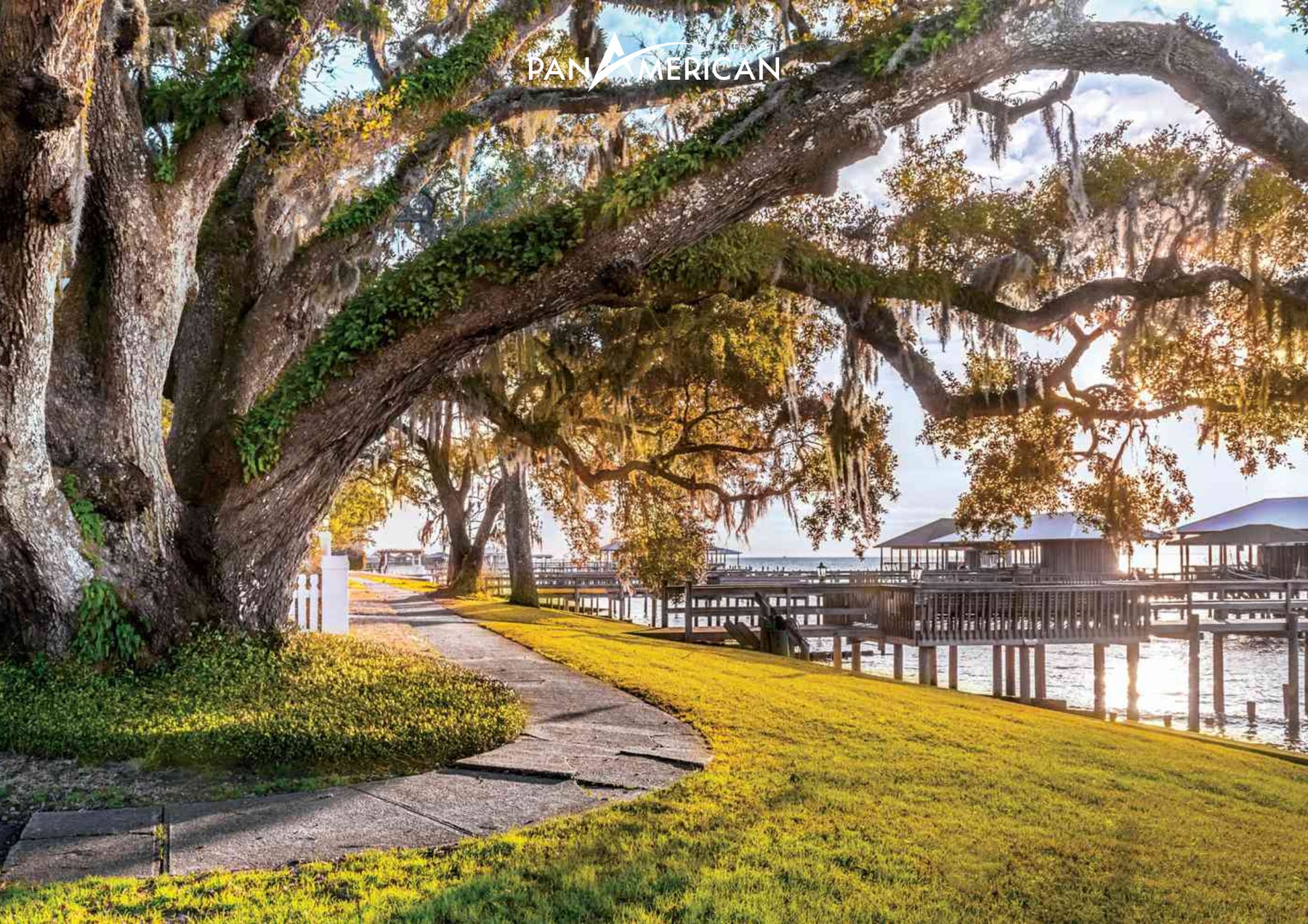 Dọc theo con đường rợp bóng cổ thụ ở Fairhope Dọc theo con đường rợp bóng cổ thụ ở Fairhope