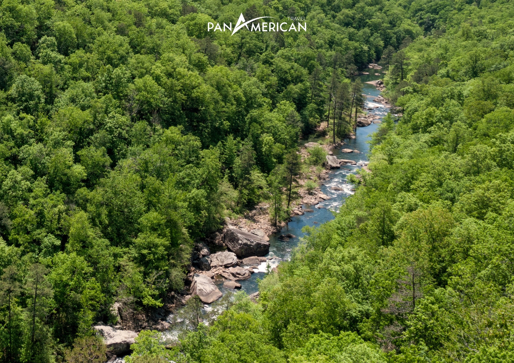 Thảm thực vật xanh ngát ở khu bảo tồn Little River Canyon Thảm thực vật xanh ngát ở khu bảo tồn Little River Canyon